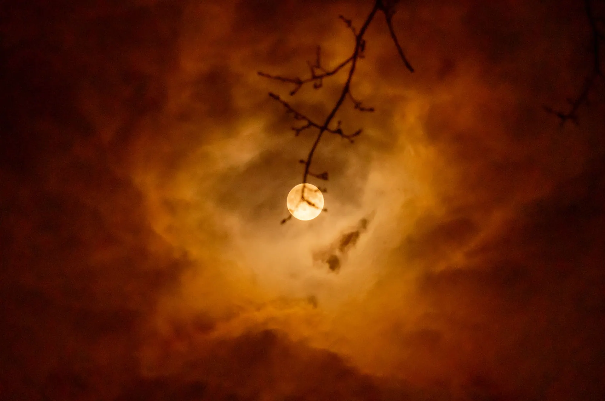 Luna; 44° North