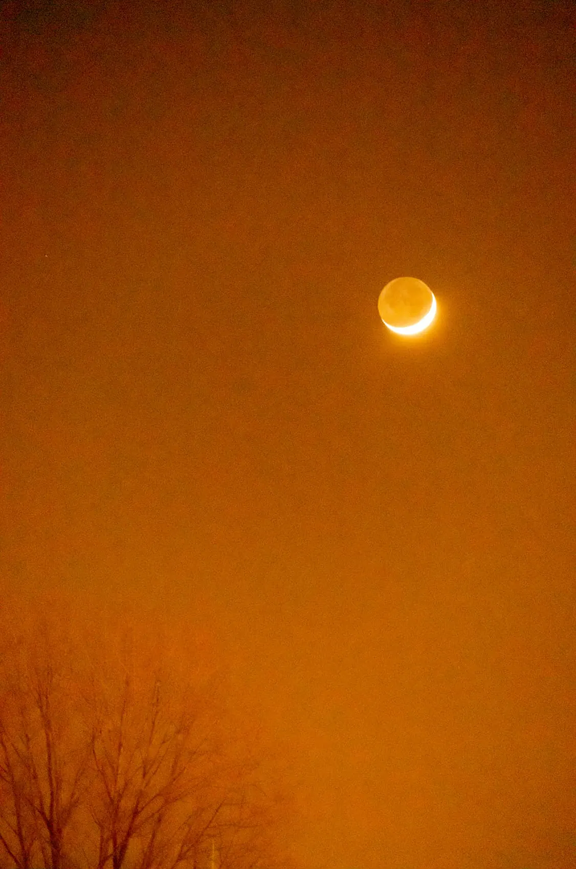 Luna; 44° North — Luna; 44° North