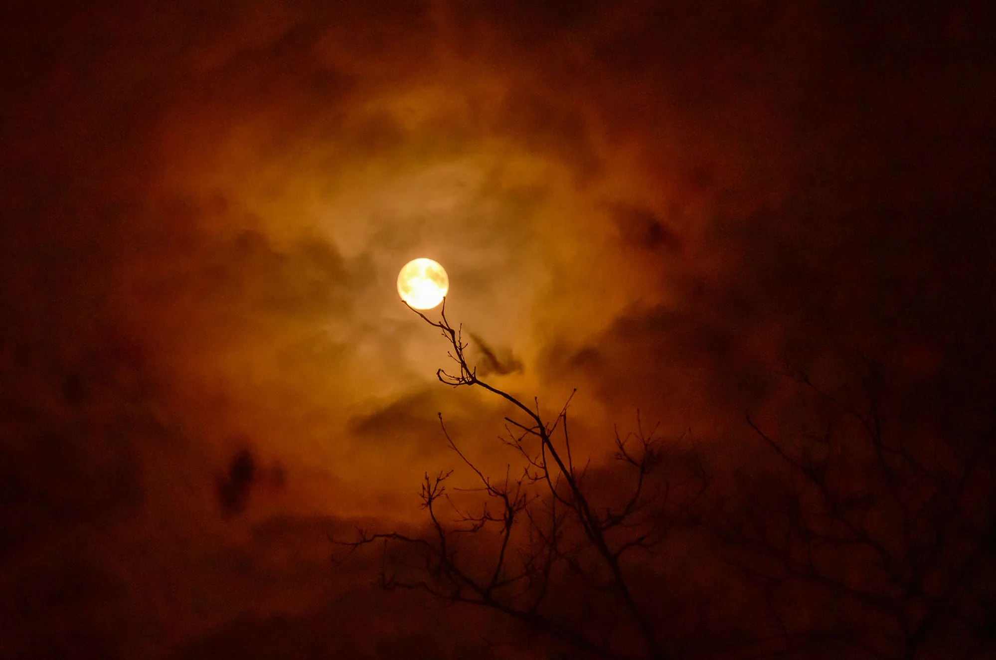 Luna; 44° North — Luna; 44° North
