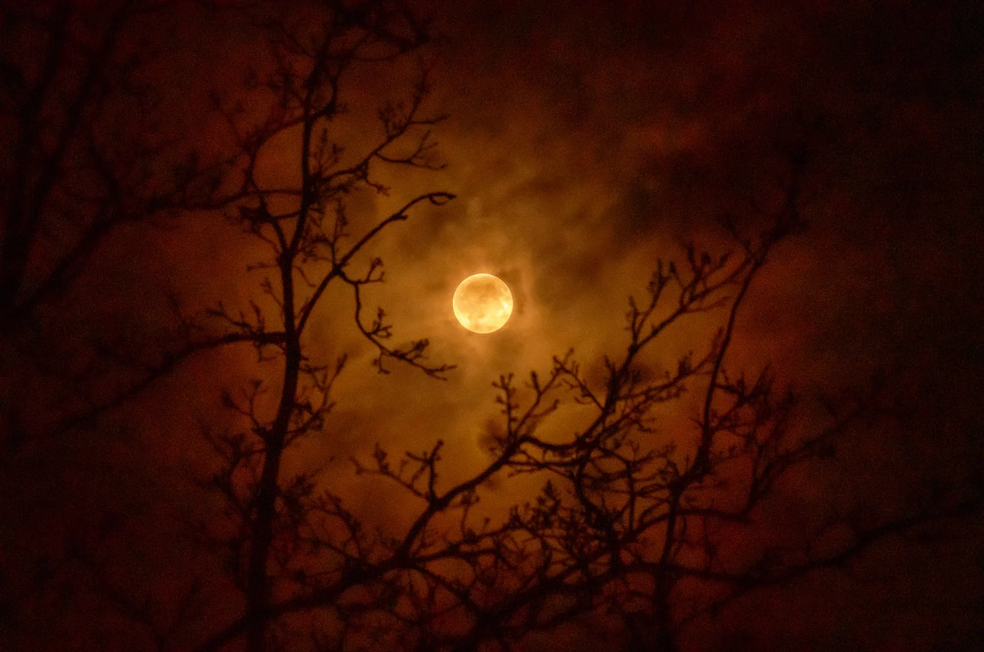 Luna; 44° North — Luna; 44° North