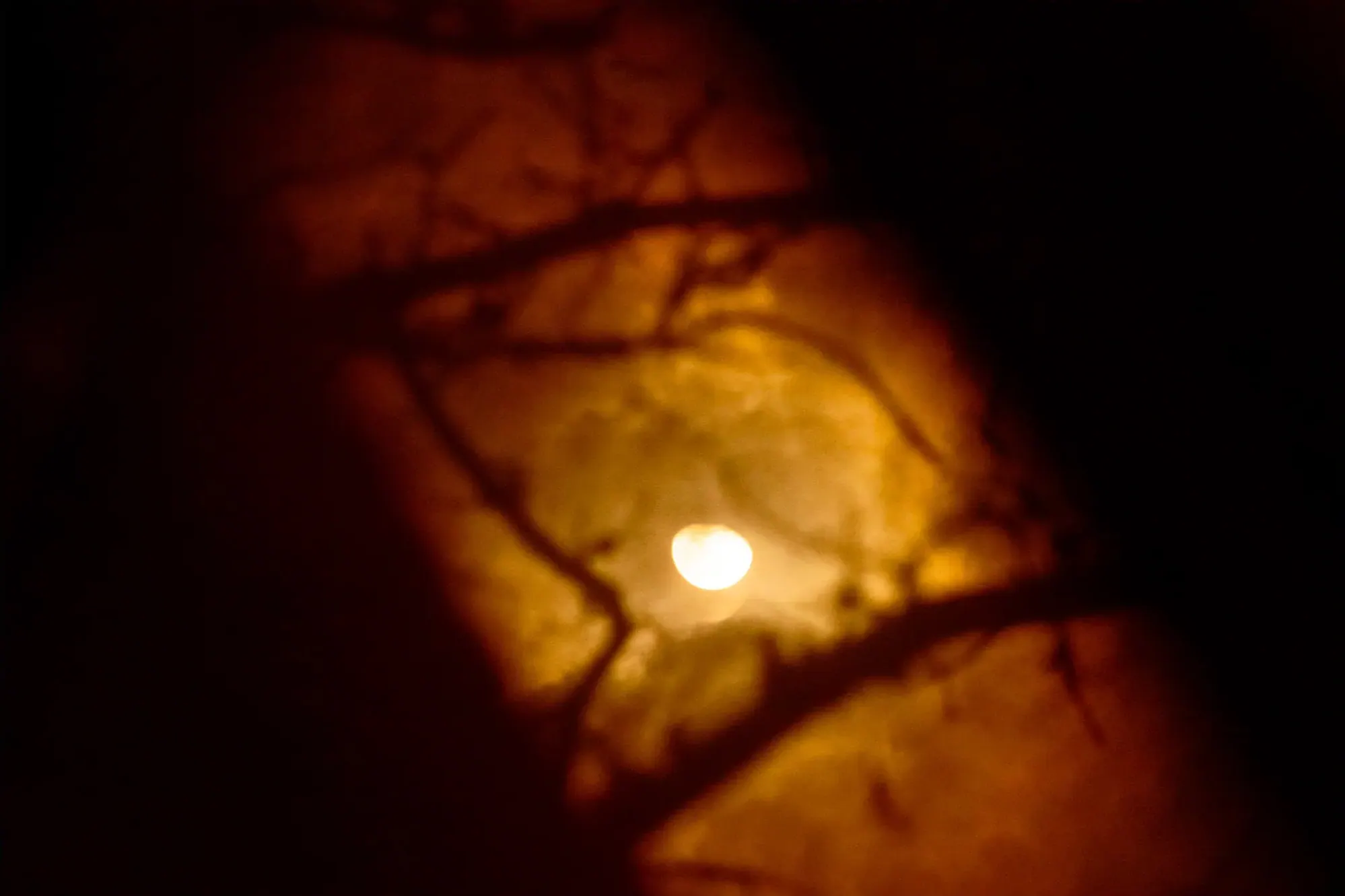 Luna; 44° North — Luna; 44° North