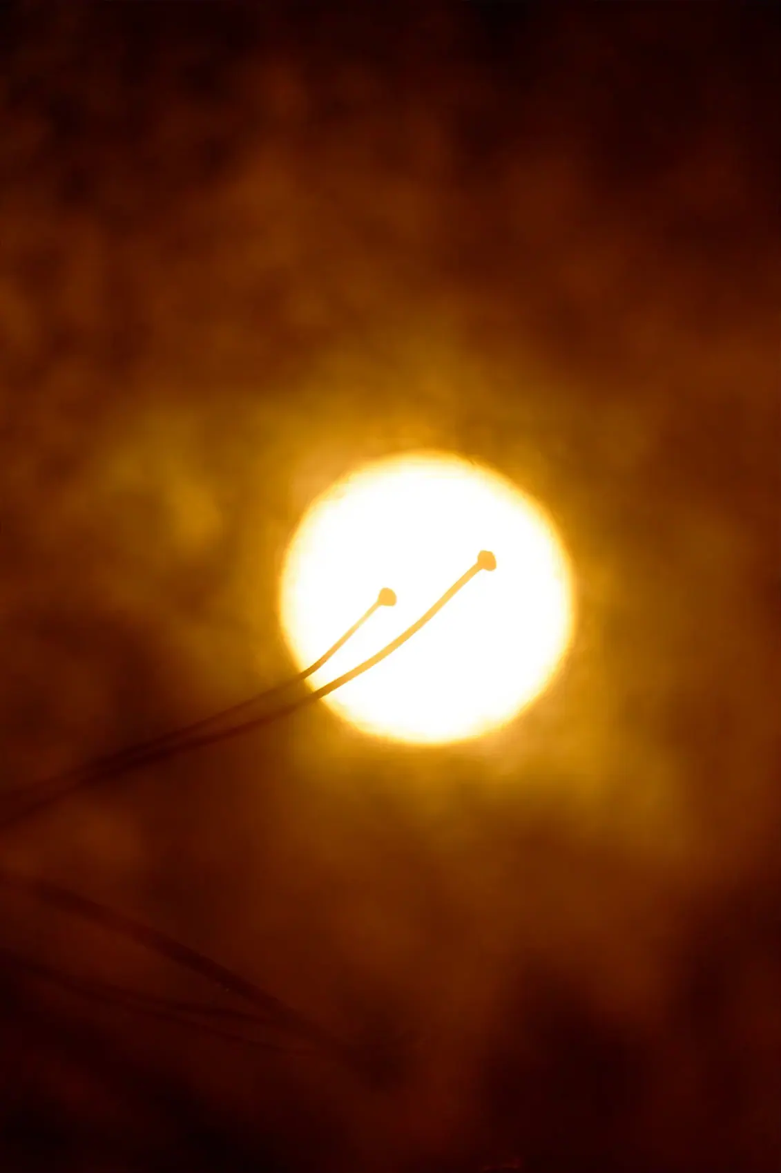 Luna; 44° North — Luna; 44° North