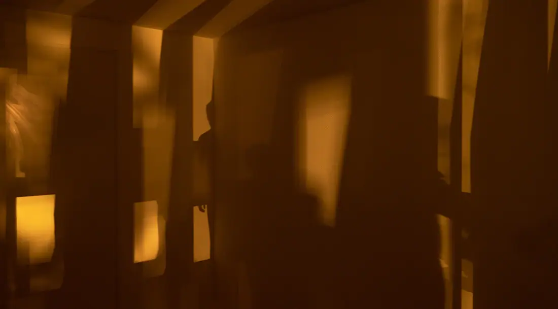 Untitled, 2021, Amsterdam, Netherlands